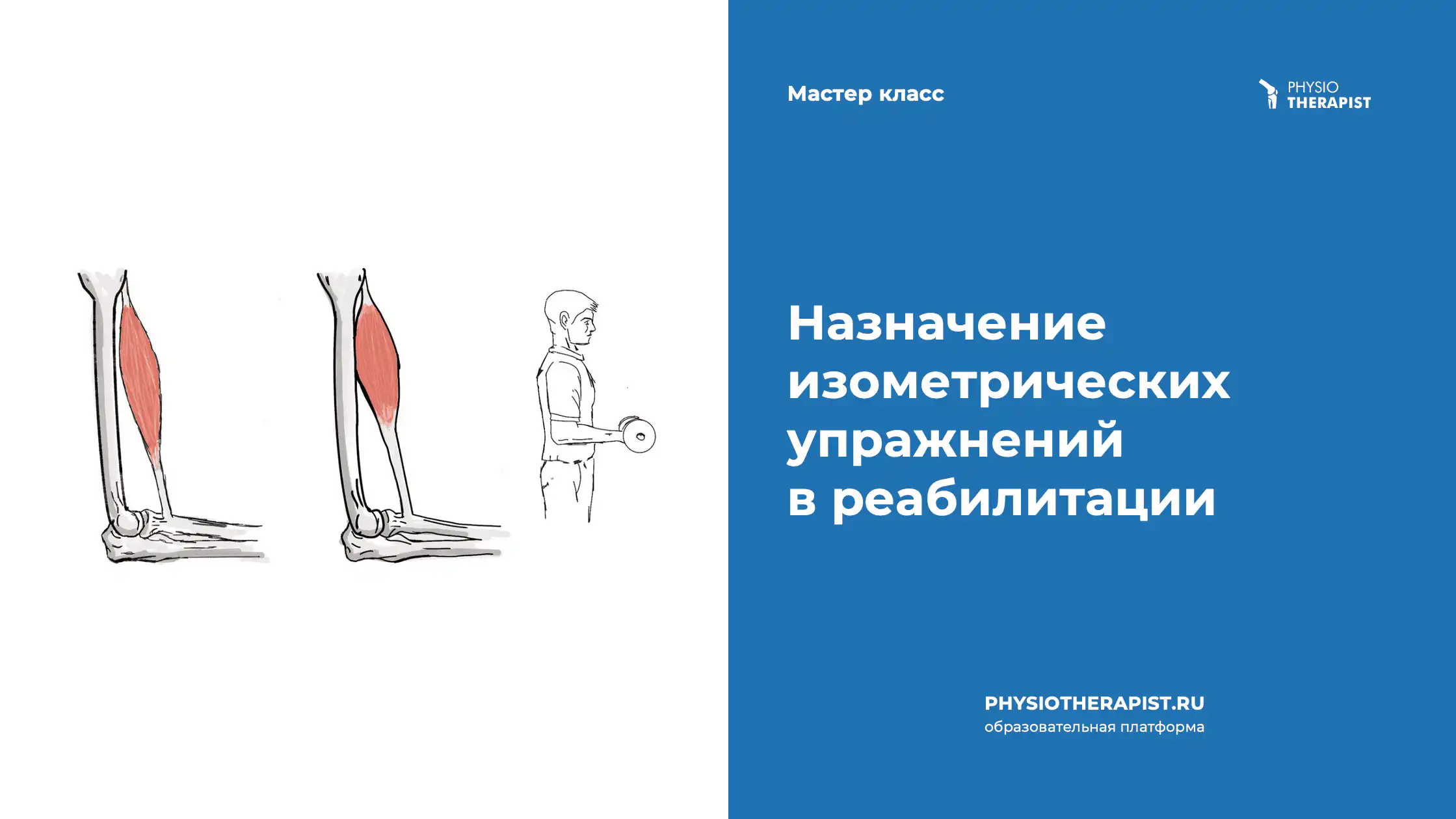 Назначение изометрических упражнений в реабилитации