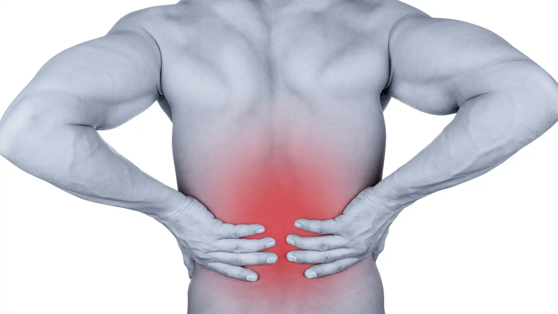 Растяжение мышц поясницы — Physiotherapist Растяжение мышц поясницы