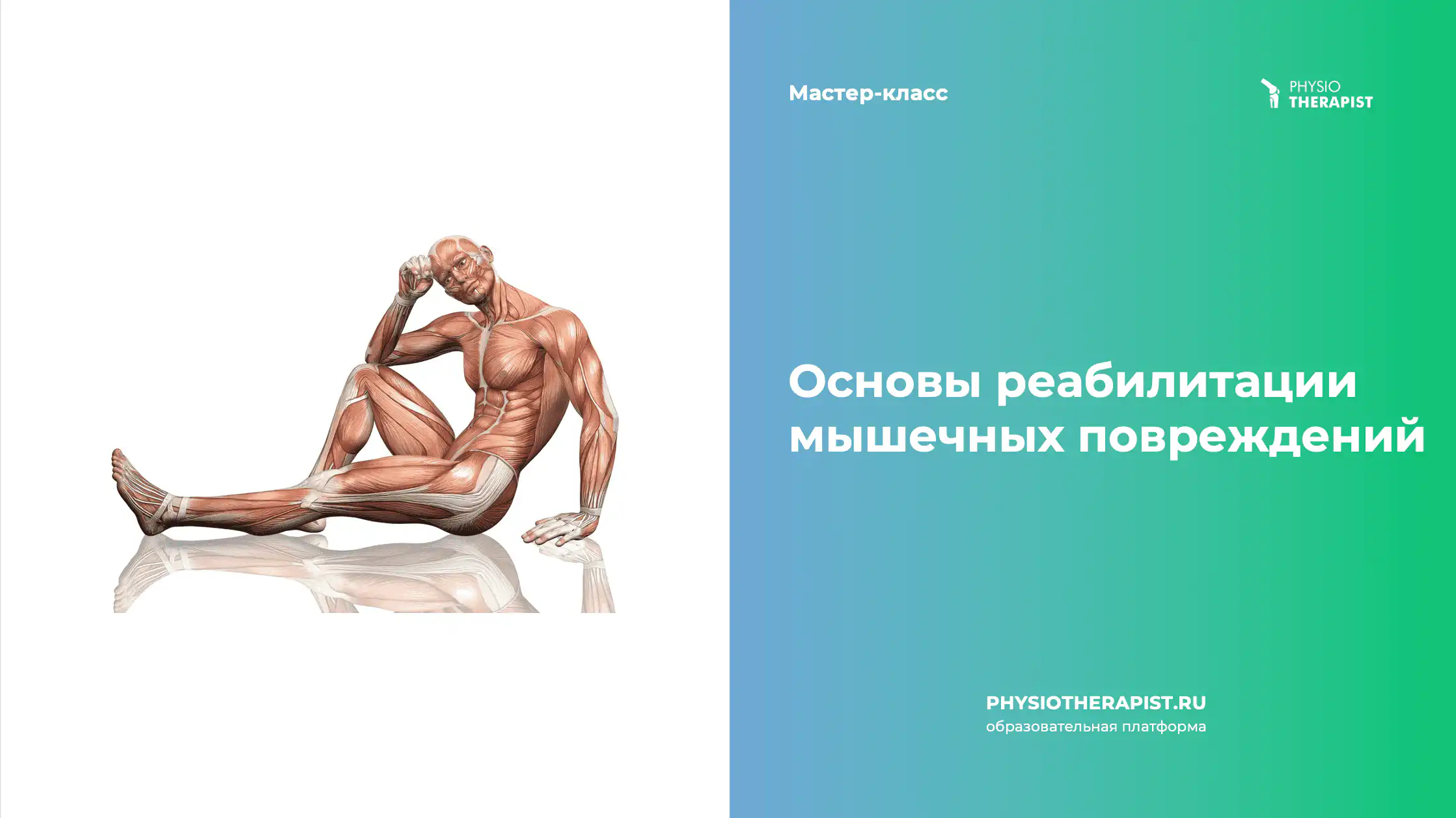 Основы реабилитации мышечных повреждений